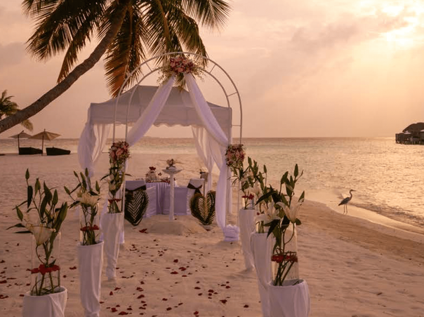 Wedding Infinity Package